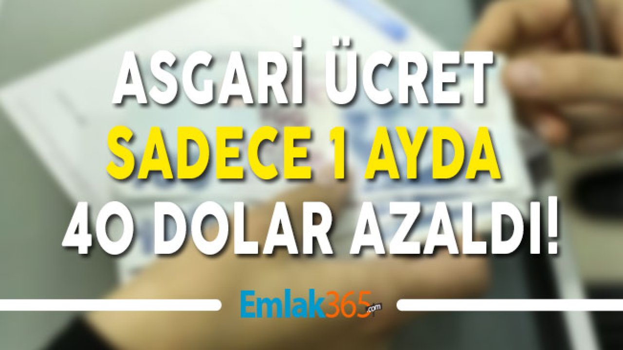 Dolar Yükseldi, Türkiye'de Çalışanların Asgari Ücreti 40 Dolar Azaldı