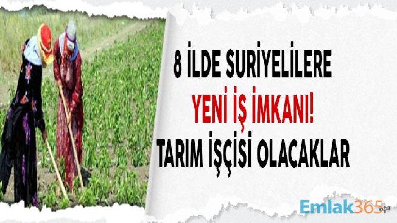 Suriyelilere Tarım İşçisi Olmaları İçin Günde 75 Lira Ödenerek Tarımsal İşbaşı Eğitimi Verilecek!