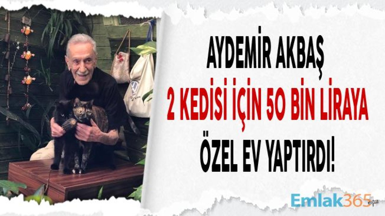 Aydemir Akbaş Taşındı, Bahçesine Kedileri İçin Özel Ev Yaptırdı!