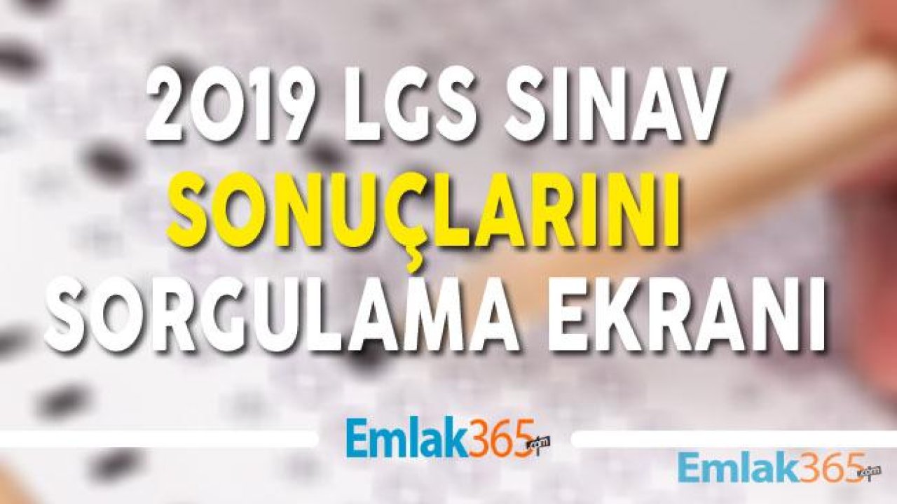 2019 LGS Sonuçlarına Nereden Bakılır? LGS Sonuç Sorgulama Ekranı