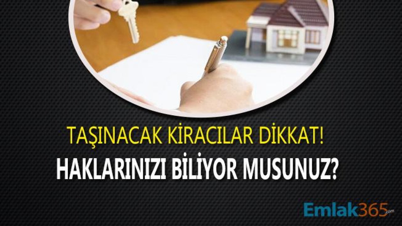 Kiracılar Dikkat! Evinizi Taşırken Ev Taşıma İzni Alabilirsiniz!