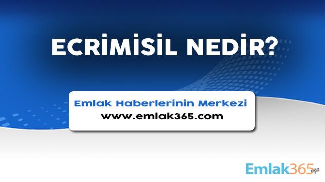 Ecrimisil Nedir, Nasıl Belirlenir?