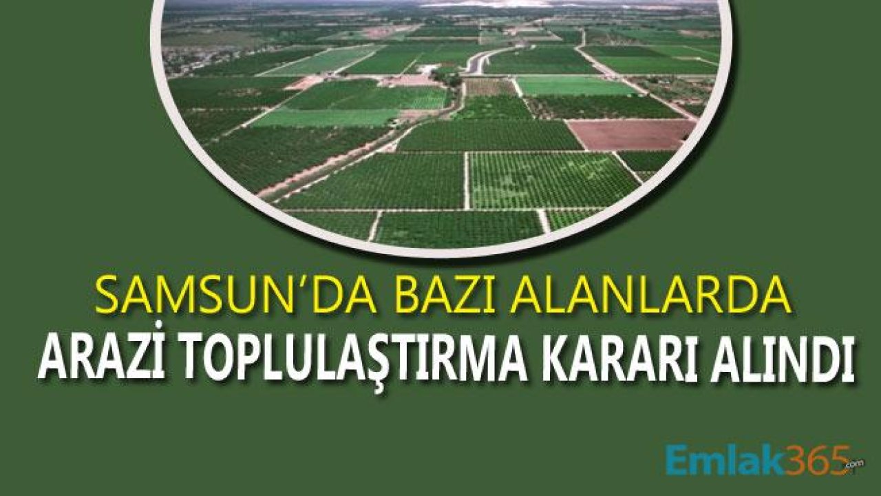 Samsun 'da Arazi Toplulaştırması ve Tarla İçi Geliştirme Hizmetleri Yapılması Kararı Verildi!