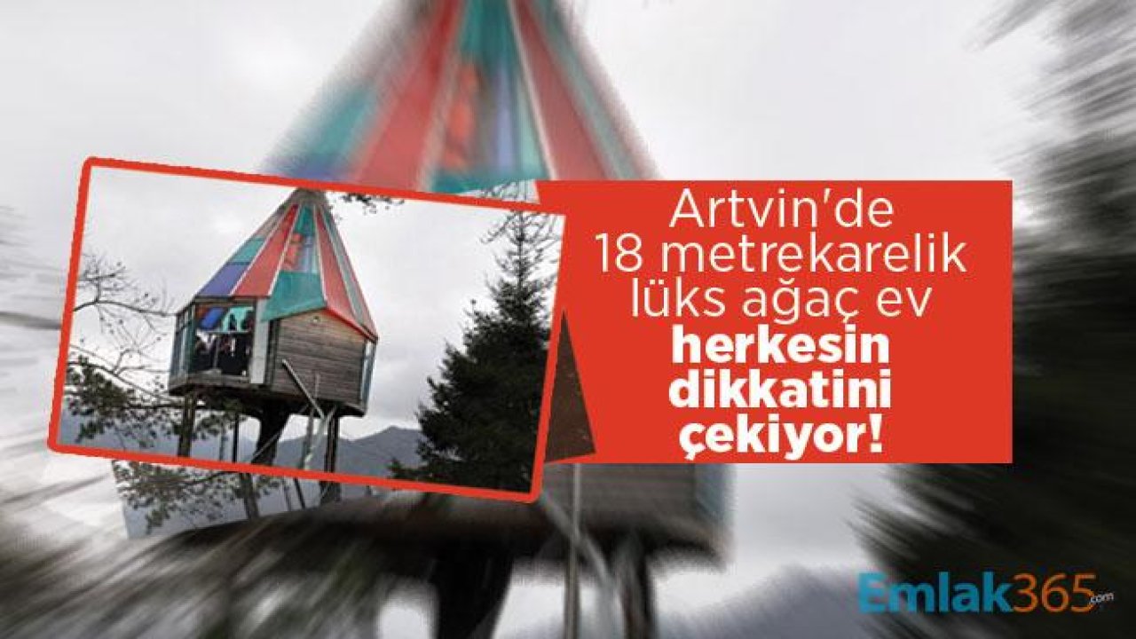 Artvin'de 18 metrekarelik lüks ağaç ev herkesin dikkatini çekiyor!