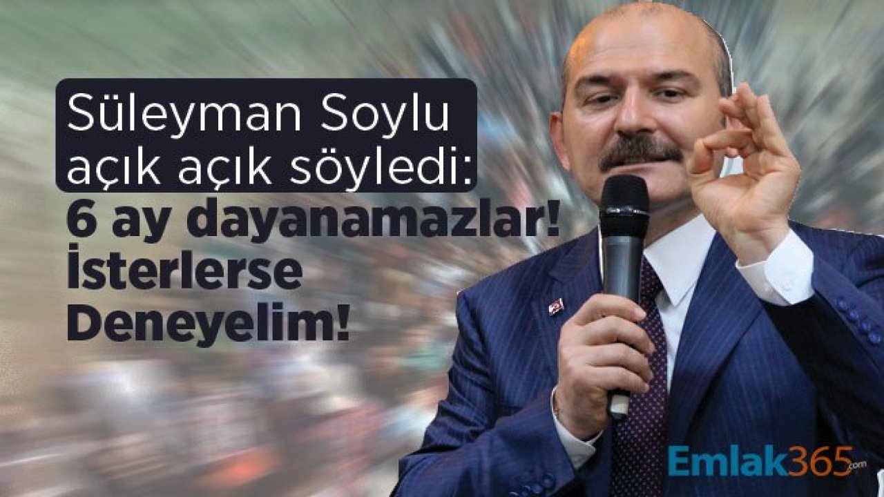 Süleyman Soylu açık açık söyledi: 6 ay dayanamazlar! İsterlerse Deneyelim!