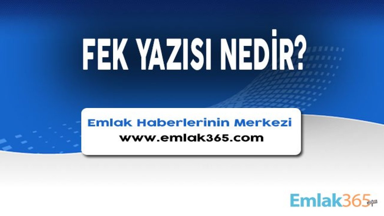 Fek Nedir, Ne Anlama Gelir?