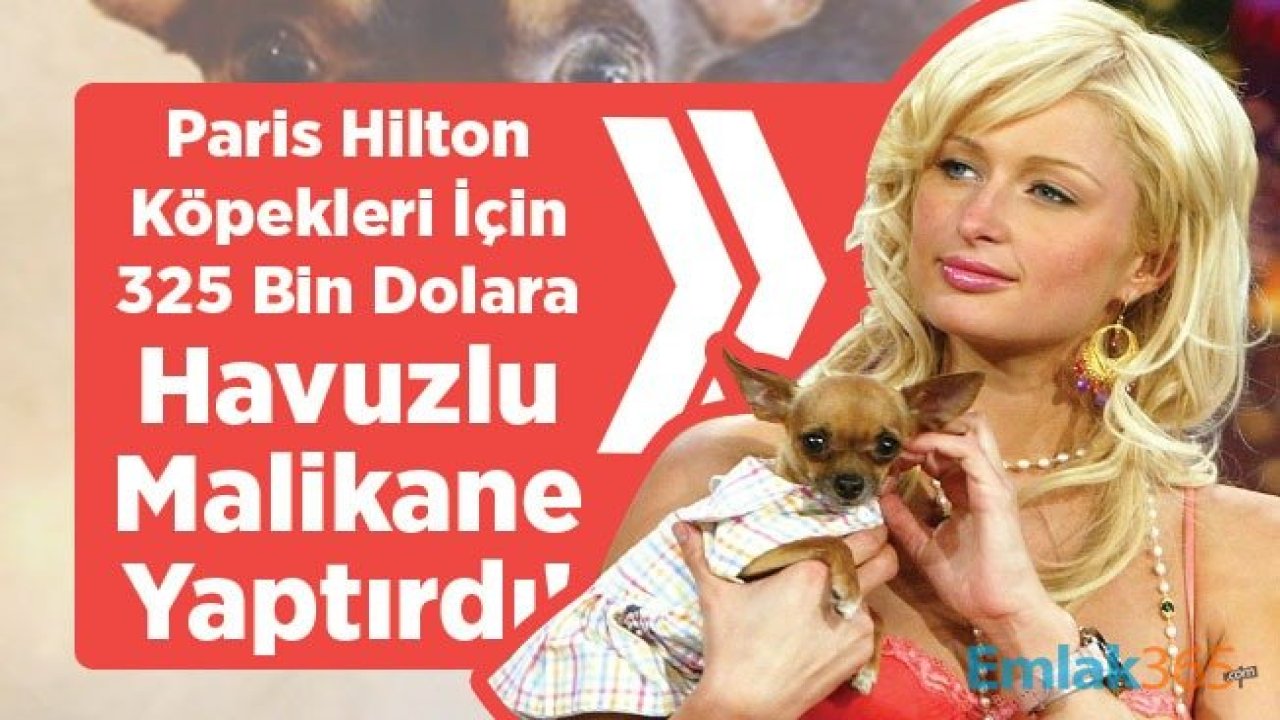 Paris Hilton Köpekleri İçin 325 Bin Dolara Havuzlu Malikane Yaptırdı!