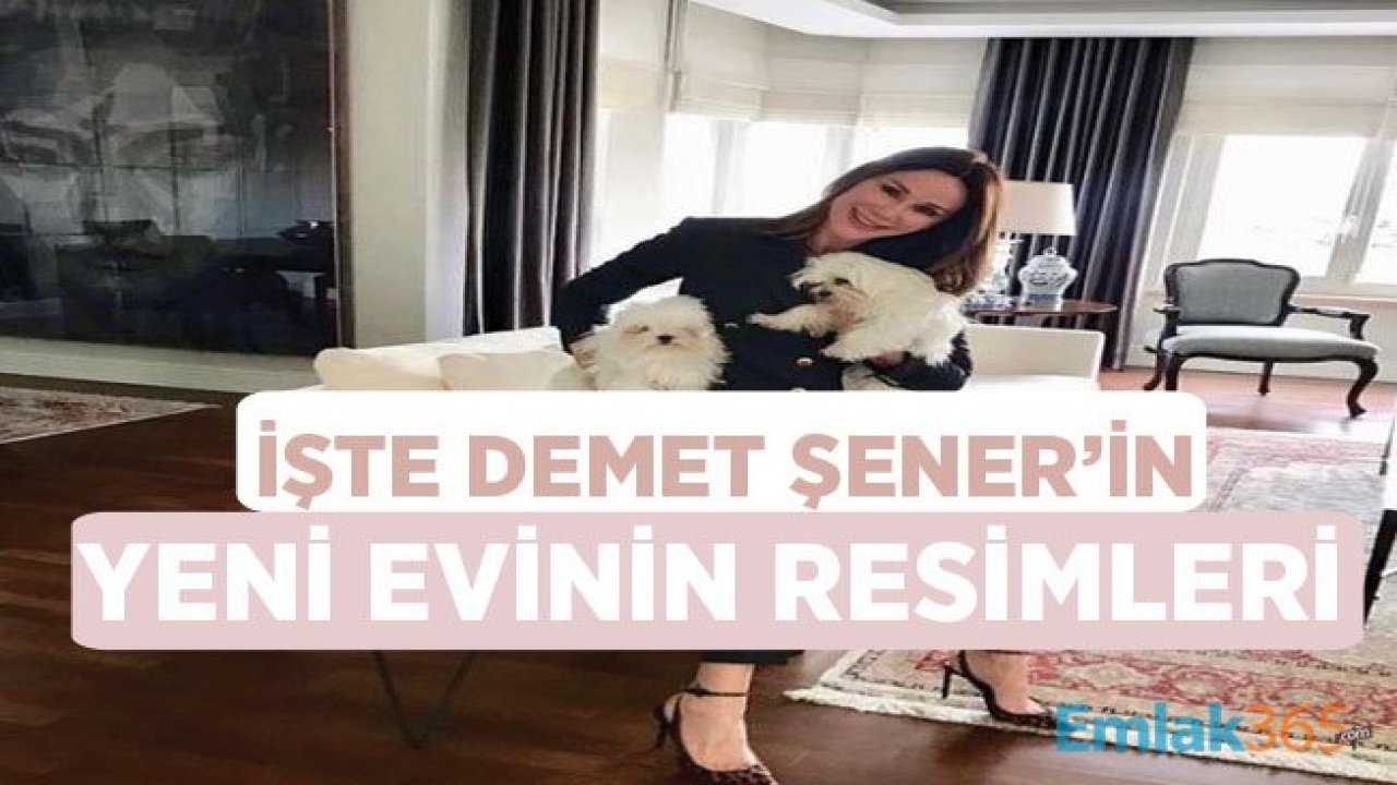 Demet Şener Evlendikten Sonra Oturduğu Yeni Evi ve Resimleri İle Gündemde!