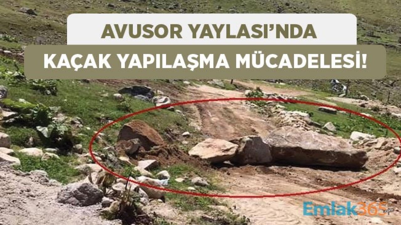 Avusor Yaylası Kaçak Yapılaşma İle Mücadelede Zorlanıyor!