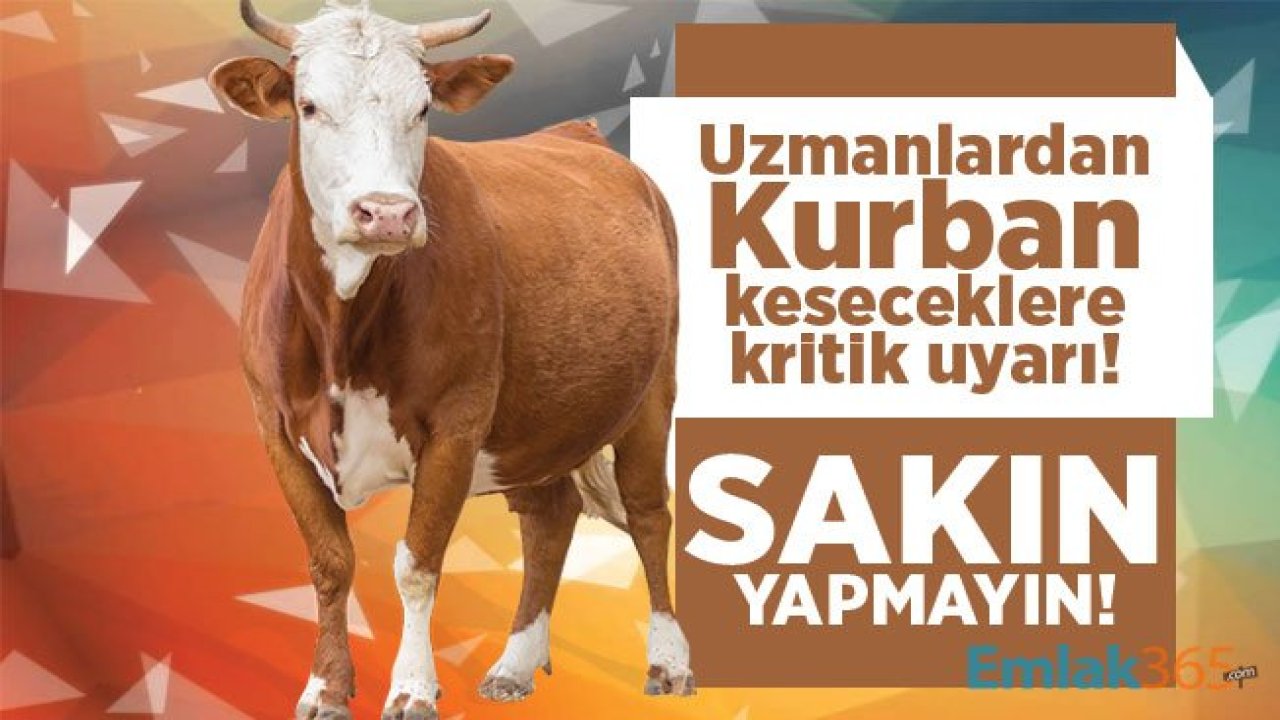 Kurban Bayramı tatili ne zaman? Uzmanlardan Kurban keseceklere kritik uyarı!