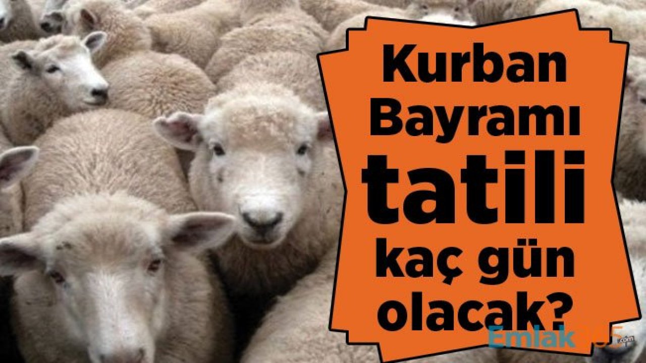 Kurban Bayramı tatili kaç gün olacak?  2019 Kurban bayramı tatili hangi gün?