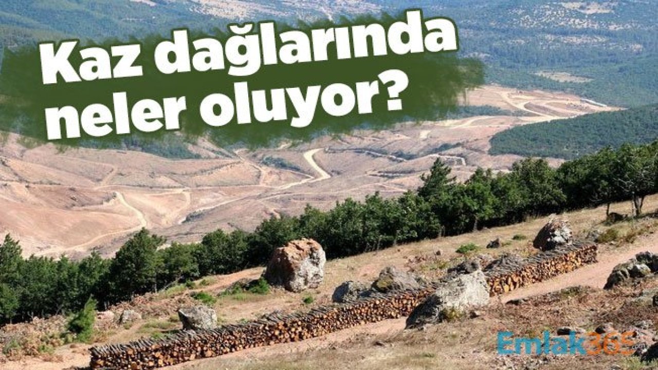 Kaz dağlarında neler oluyor? Altın madeni sonrası kazdağlarının son hali!