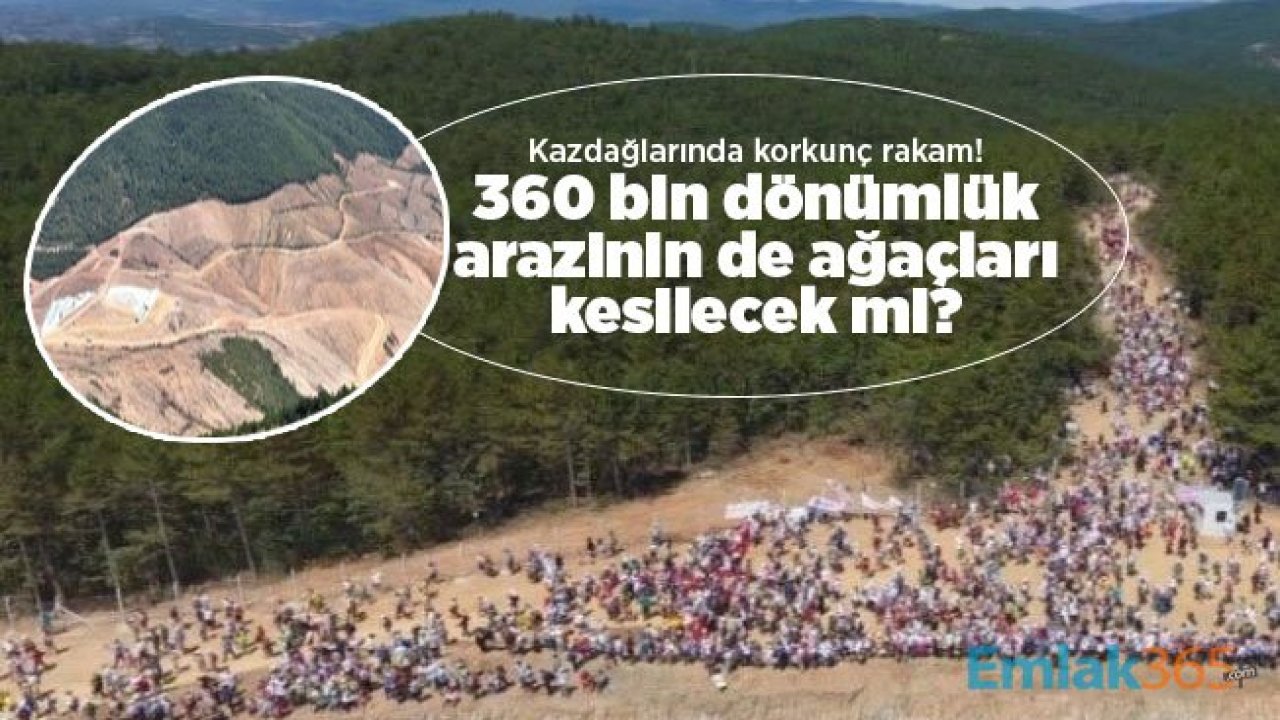 Kaz dağlarında son durum? 360 bin dönümlük arazinin de ağaçları kesilecek mi?