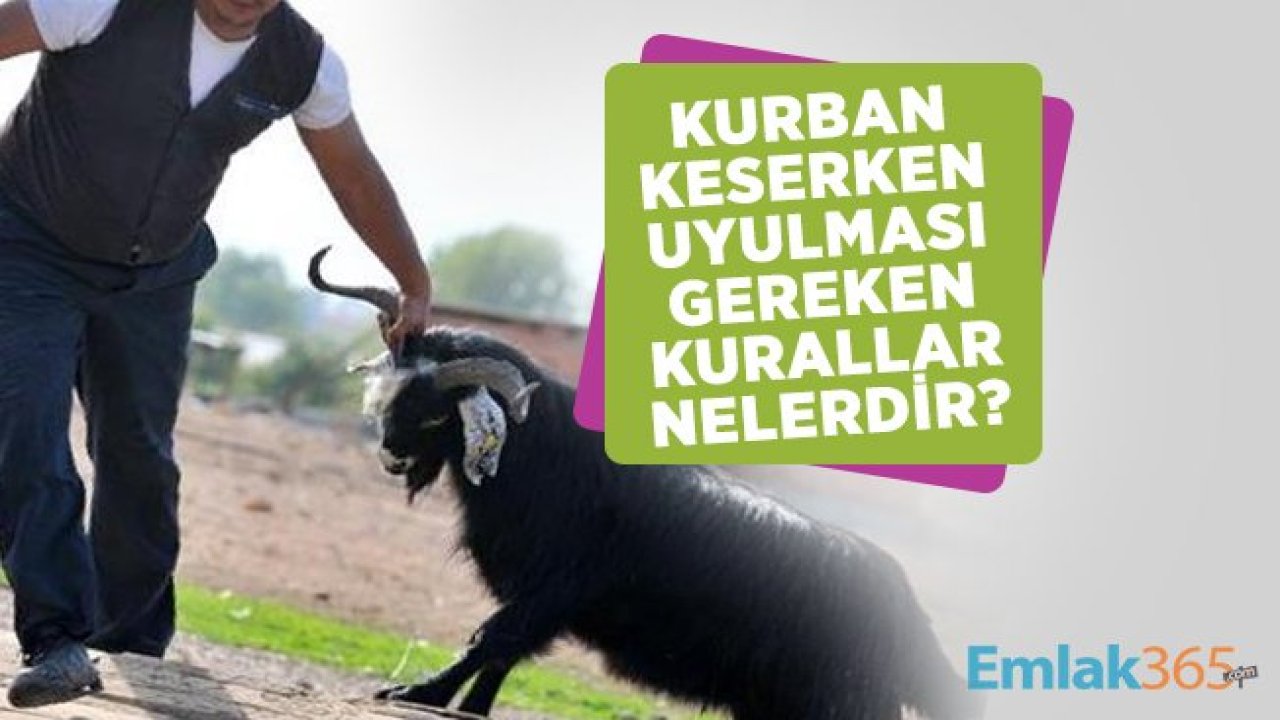 Kurban keserken uyulması gereken kurallar nelerdir?