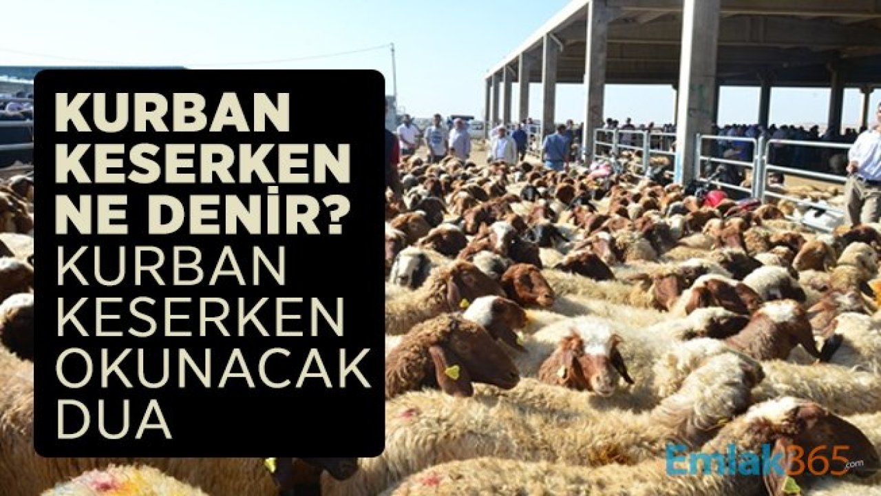 Kurban keserken ne denir? Kurban keserken okunacak dua