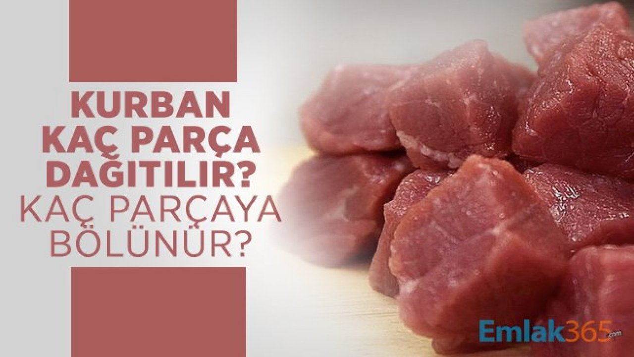 Kurban kaç parça dağıtılır? Kaç parçaya bölünür?