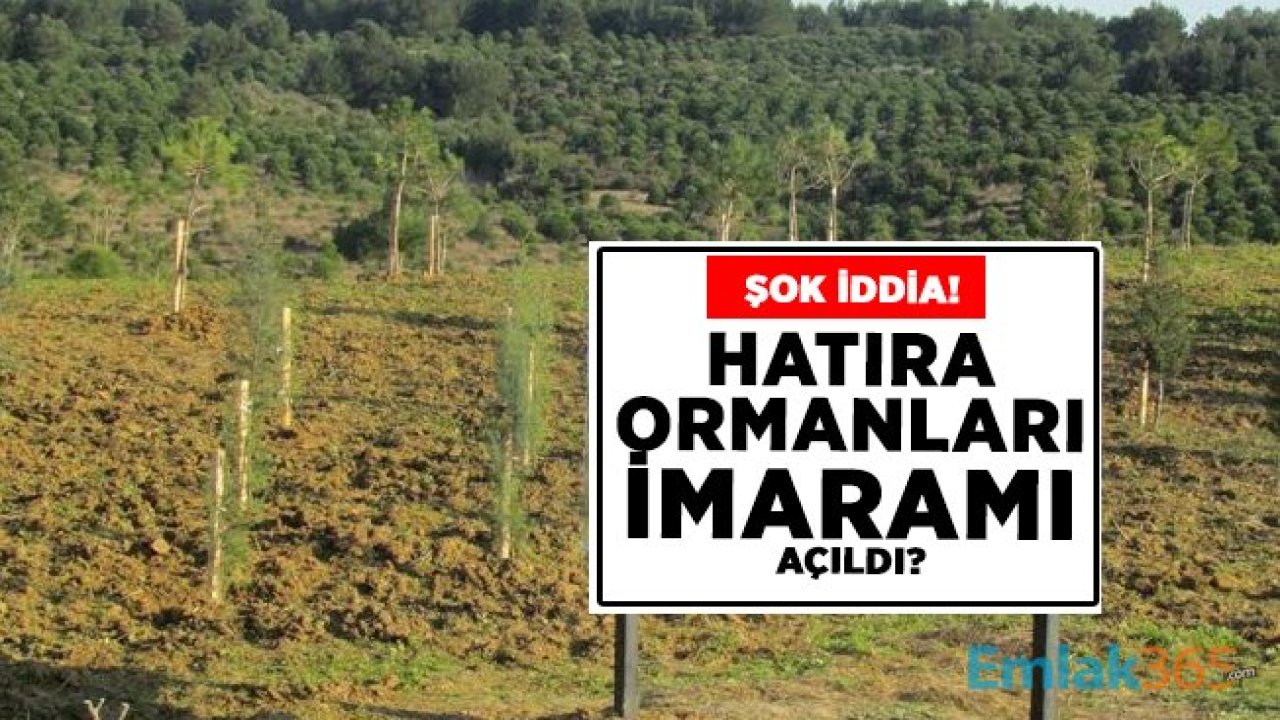 Şok iddia! Türkiye’de Hatıra ormanları imara mı açıldı?