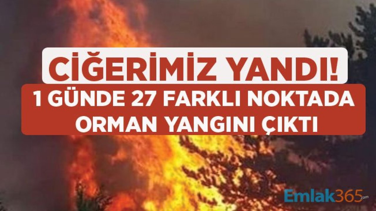 Ciğerimiz Yandı, Bir Günde 27 Orman Yangını Yaşandı!