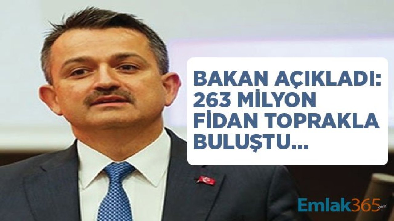 Bakan Pakdemirli: 2018 Yılında 263 Milyon Fidan Diktik