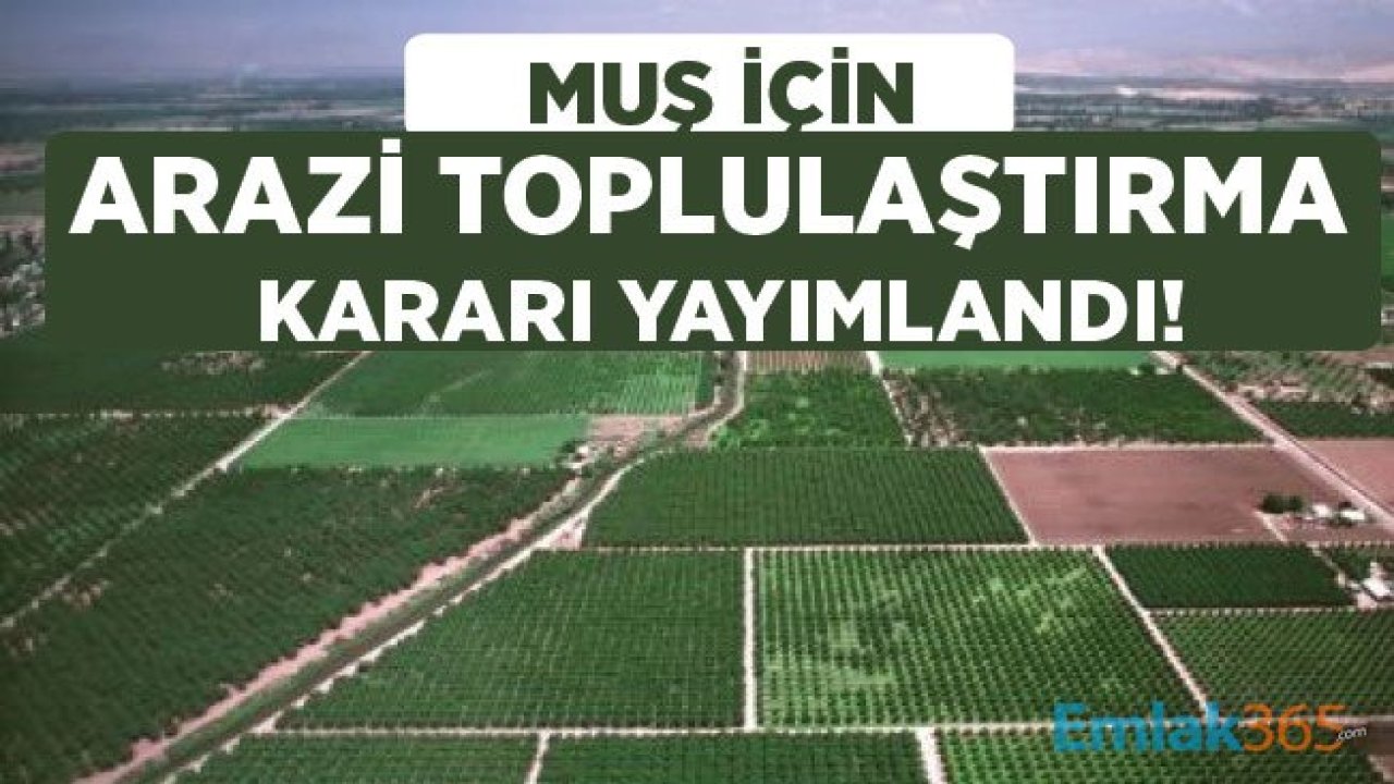 Muş İçin Arazi Toplulaştırması ve Tarla İçi Geliştirme Hizmetleri Yapılması Hakkında Karar Yayımlandı!