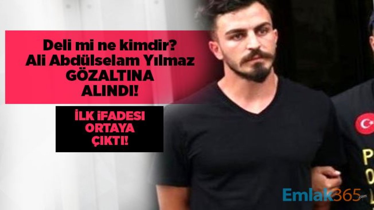 Deli mi ne kimdir? Ali Abdülselam Yılmaz gözaltına alındı! İlk ifadesi ortaya çıktı!