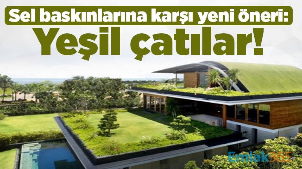 Sel baskınlarına karşı yeni öneri: Yeşil çatılar!