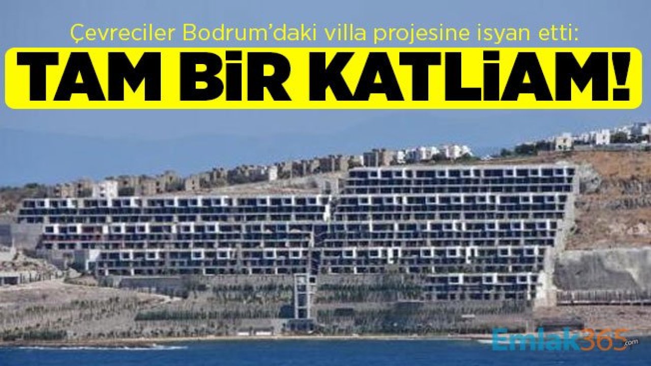 Çevreciler Bodrum’daki villa projesine isyan etti: Tam bir katliam!