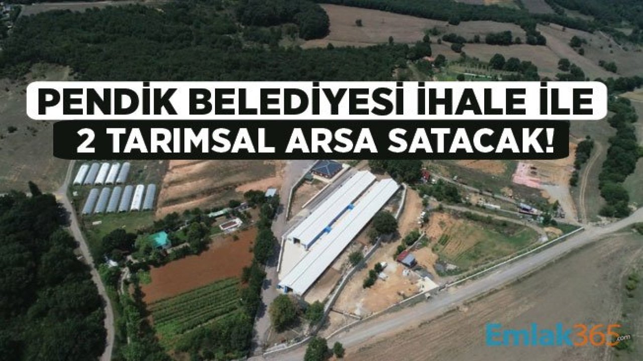 Pendik Belediyesi Yüksek Yatırım Değeri Olan 2 Tarımsal Arazi İçin İhale Düzenliyor!