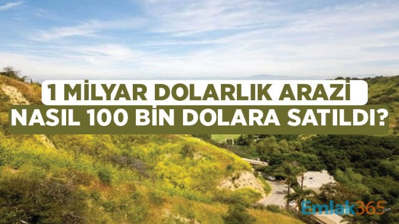 1 Milyar Dolar Değerindeki Arsa Açık Artırma İle 100 Bin Dolara Satıldı!