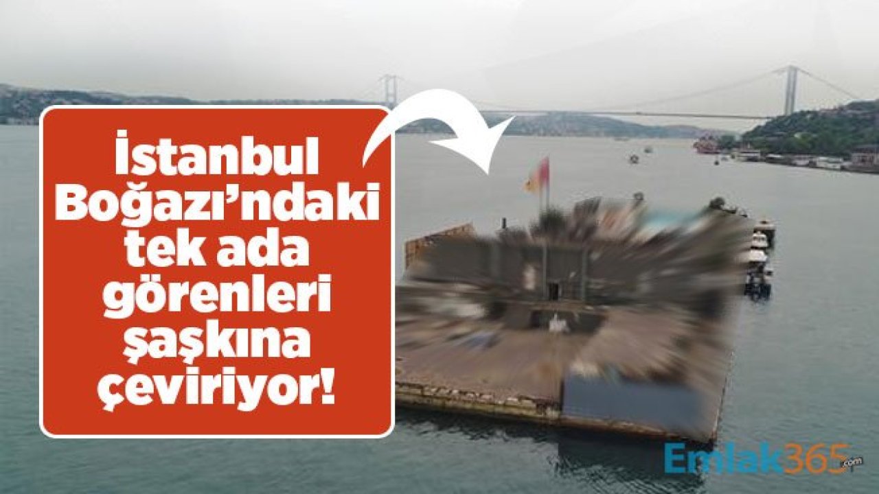 İstanbul Boğazı’ndaki tek ada görenleri şaşkına çeviriyor!