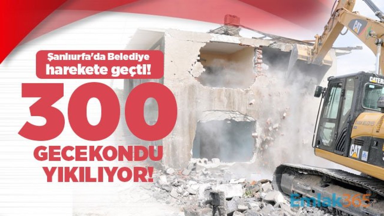 Şanlıurfa'da Belediye harekete geçti! 300 gecekondu yıkılıyor!