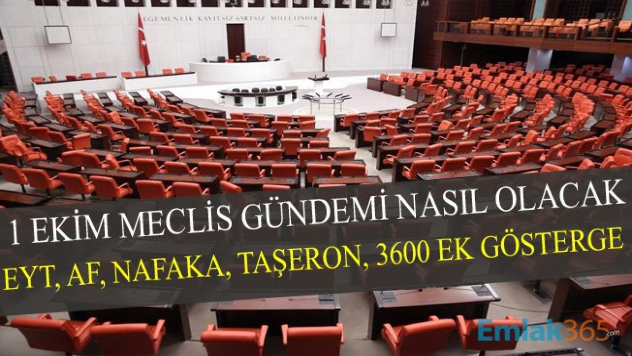 1 Ekim Meclis Gündemi! EYT, Af, Nafaka, Emekli Maaşları, 3600 Ek Gösterge Çıkacak Mı?