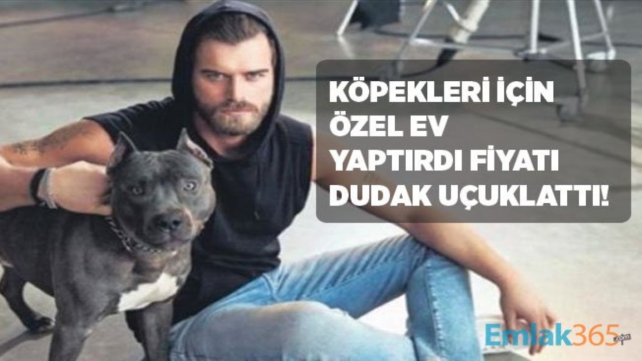 Kıvanç Tatlıtuğ Köpekleri İçin Özel Malikane Yaptırdı, Fiyatı Dudak Uçuklattı!