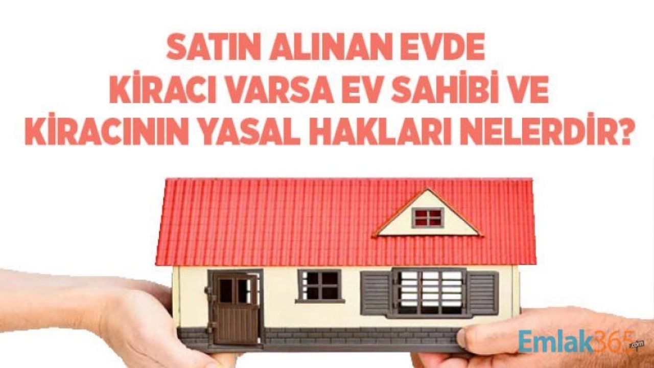 Satın Alınan Evde Kiracı Varsa Bu Durumda Ne Olur?