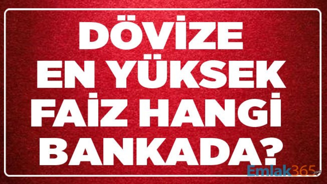 Dolara En Yüksek Faiz Hangi Bankada? Bankaların Döviz Faiz Oranları 2019 Listesi