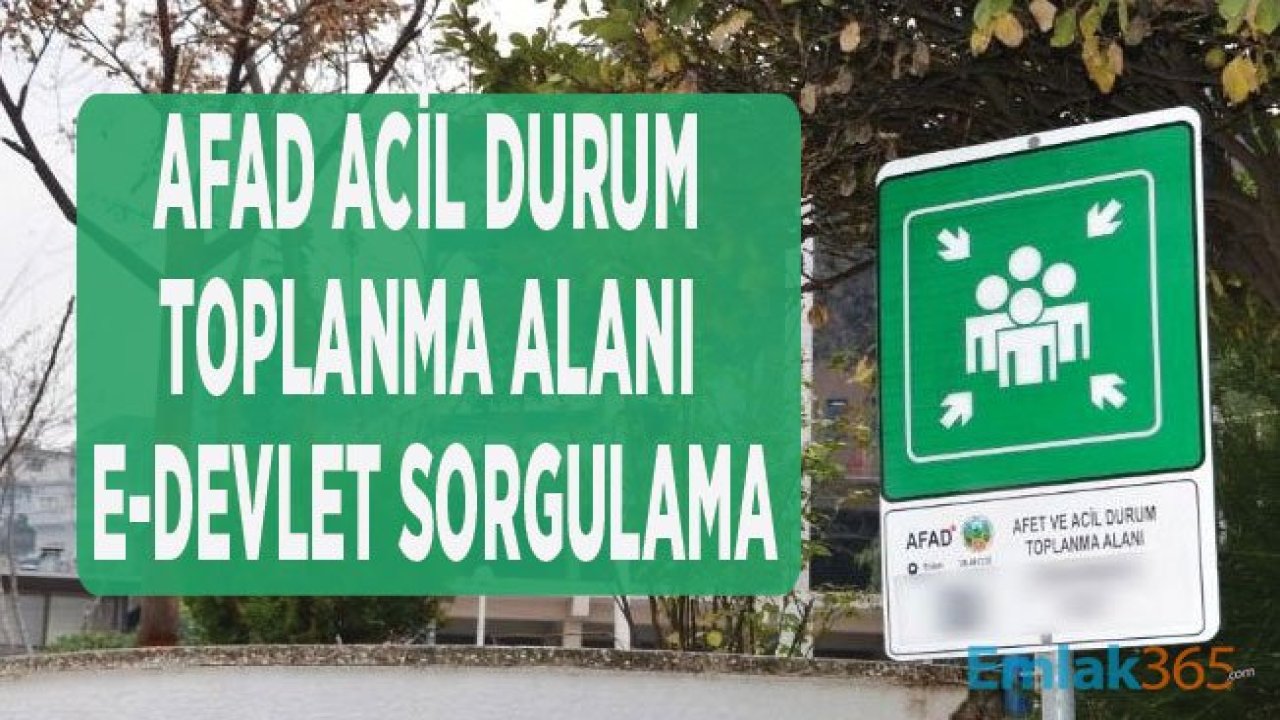 E Devlet Üzerinden Acil Toplanma Alanı Sorgulama Nasıl Yapılır! Adım Adım Deprem Sonrası Toplanma Resimli Anlatım