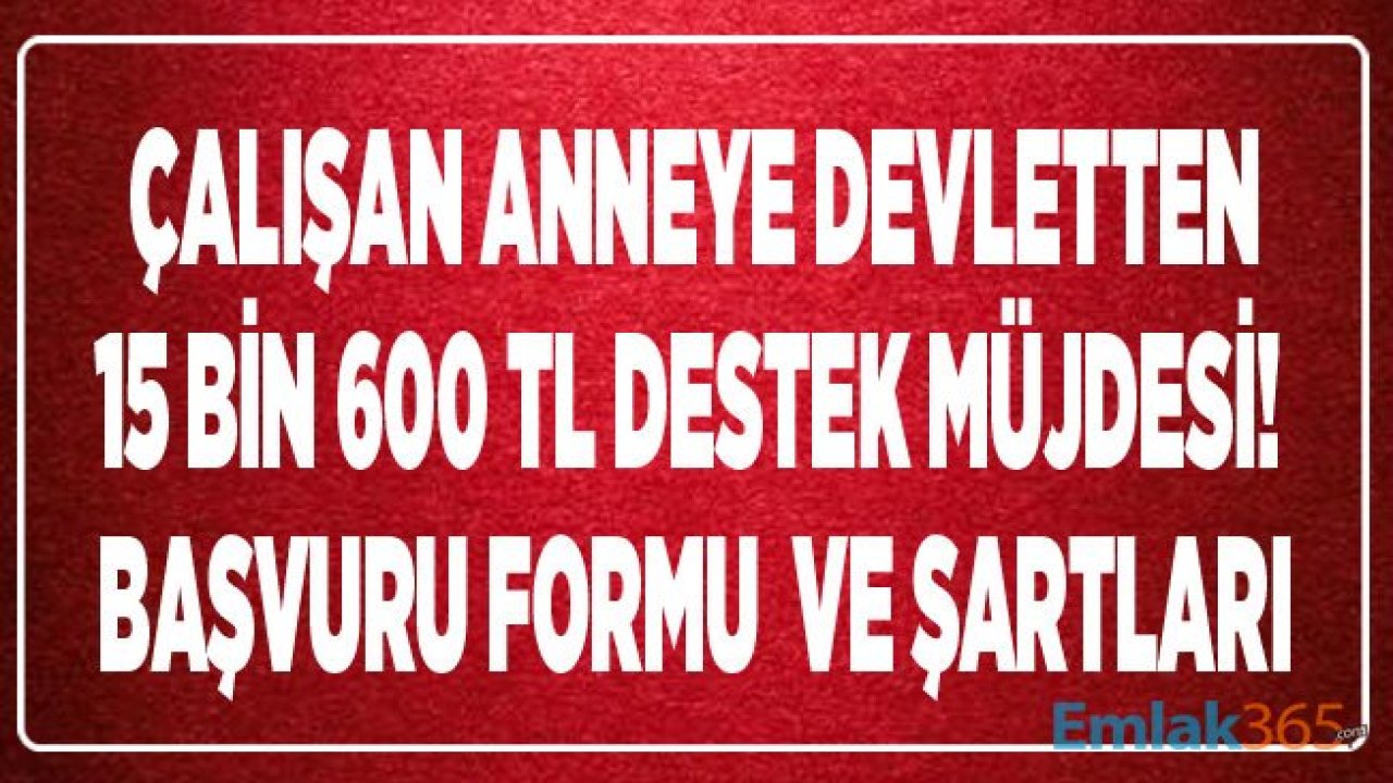 Çalışan Annelere Devletten 15 Bin 600 TL Destek Müjdesi! Kreş Yardımı Şartları ve Başvuru Formu Ekranı