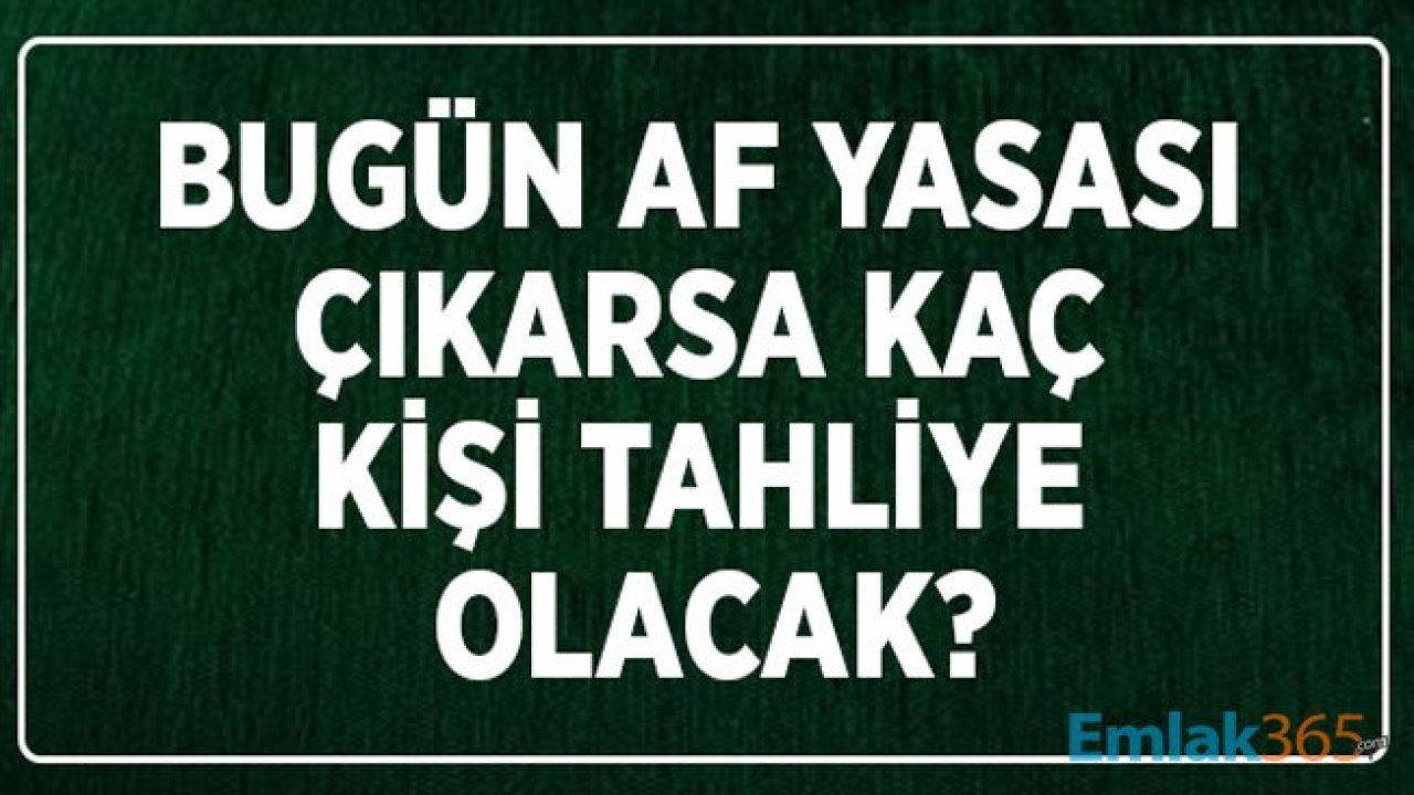 Şartlı Ceza İndirimi Yasası Çıkarsa Af İle Kaç Kişi Tahliye Olacak?