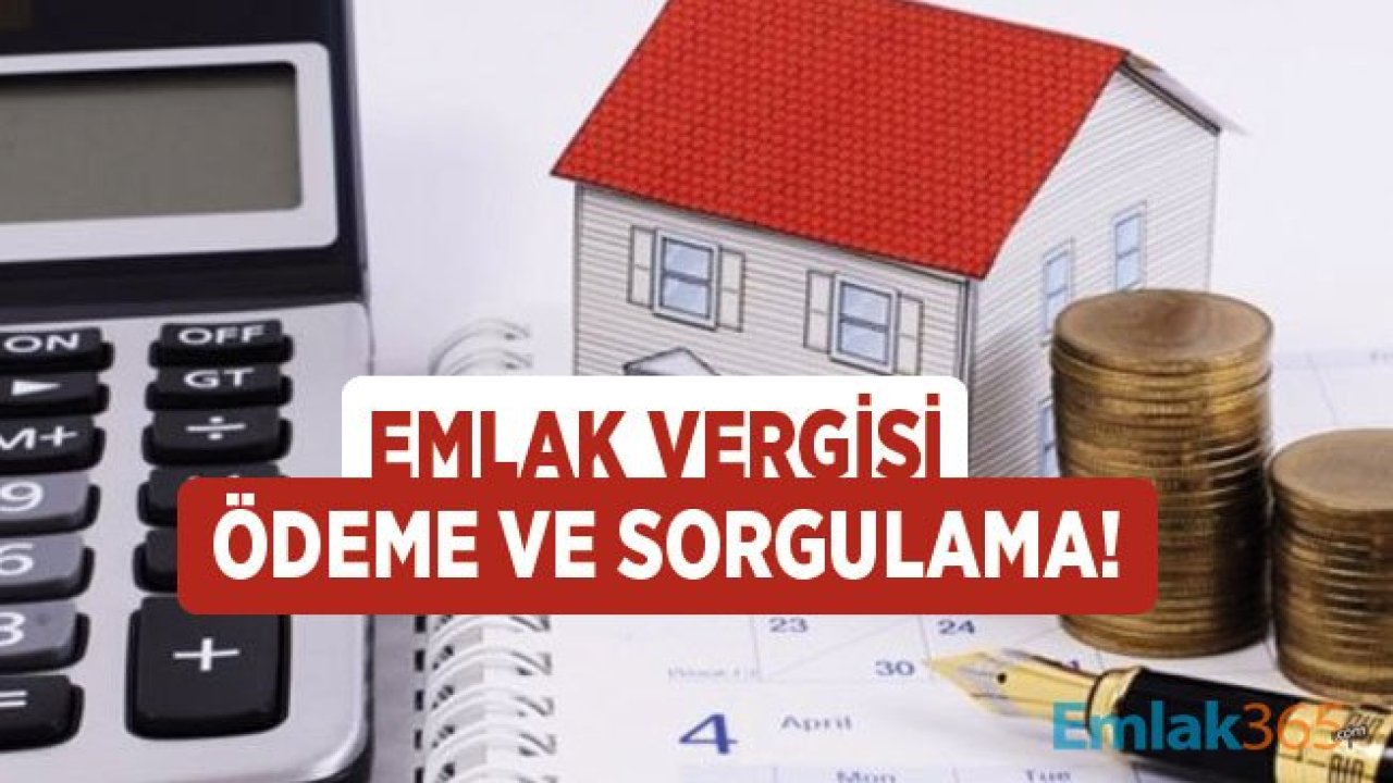 Taşınmaz Sahipleri Dikkat! Emlak Vergisi 2. Taksit Ödemeleri Başladı