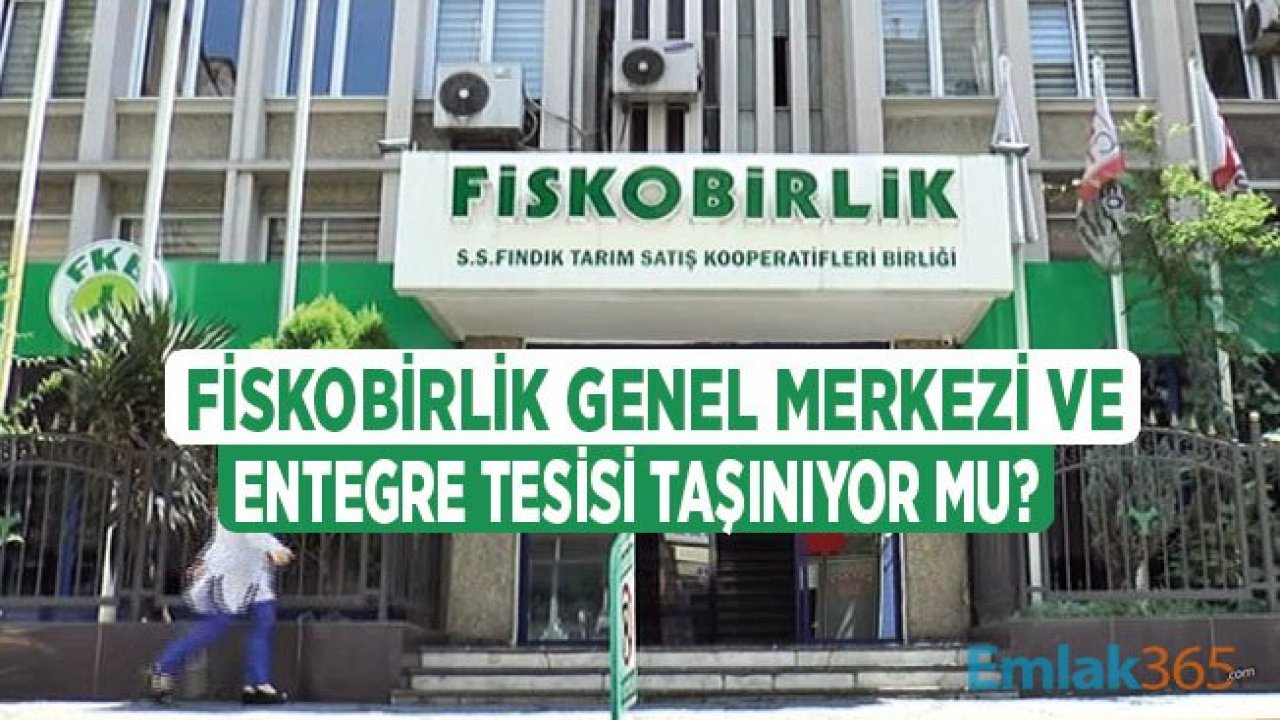 FİSKOBİRLİK Genel Müdürlüğü ve Entegre Tesisleri Giresun'dan Taşınıyor Mu?