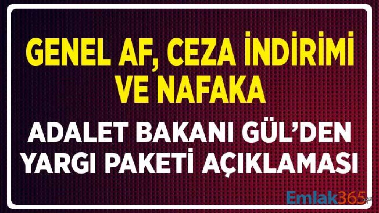 Genel Af, Nafaka ve Ceza İndirimi! Adalet Bakanı Gül'den Yargı Paketi Açıklaması