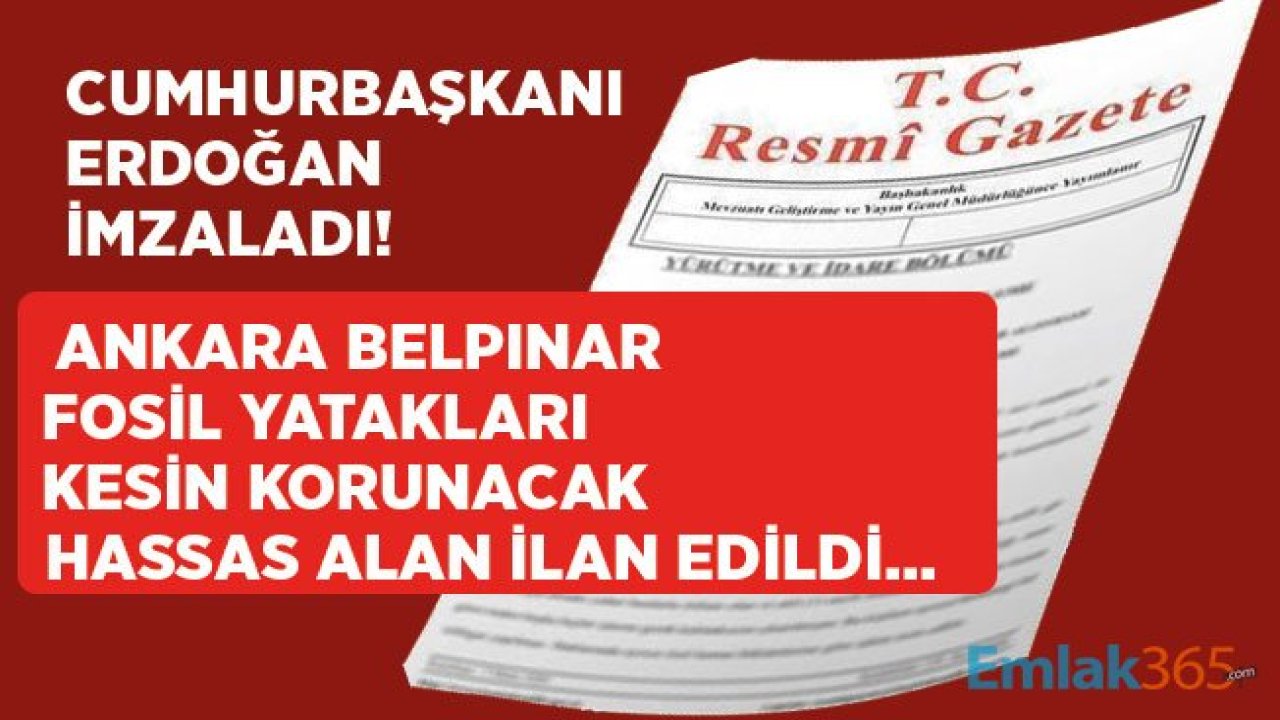 Ankara Belpınar Fosil Yatakları Kesin Korunacak Hassa Alan İlan Edildi!