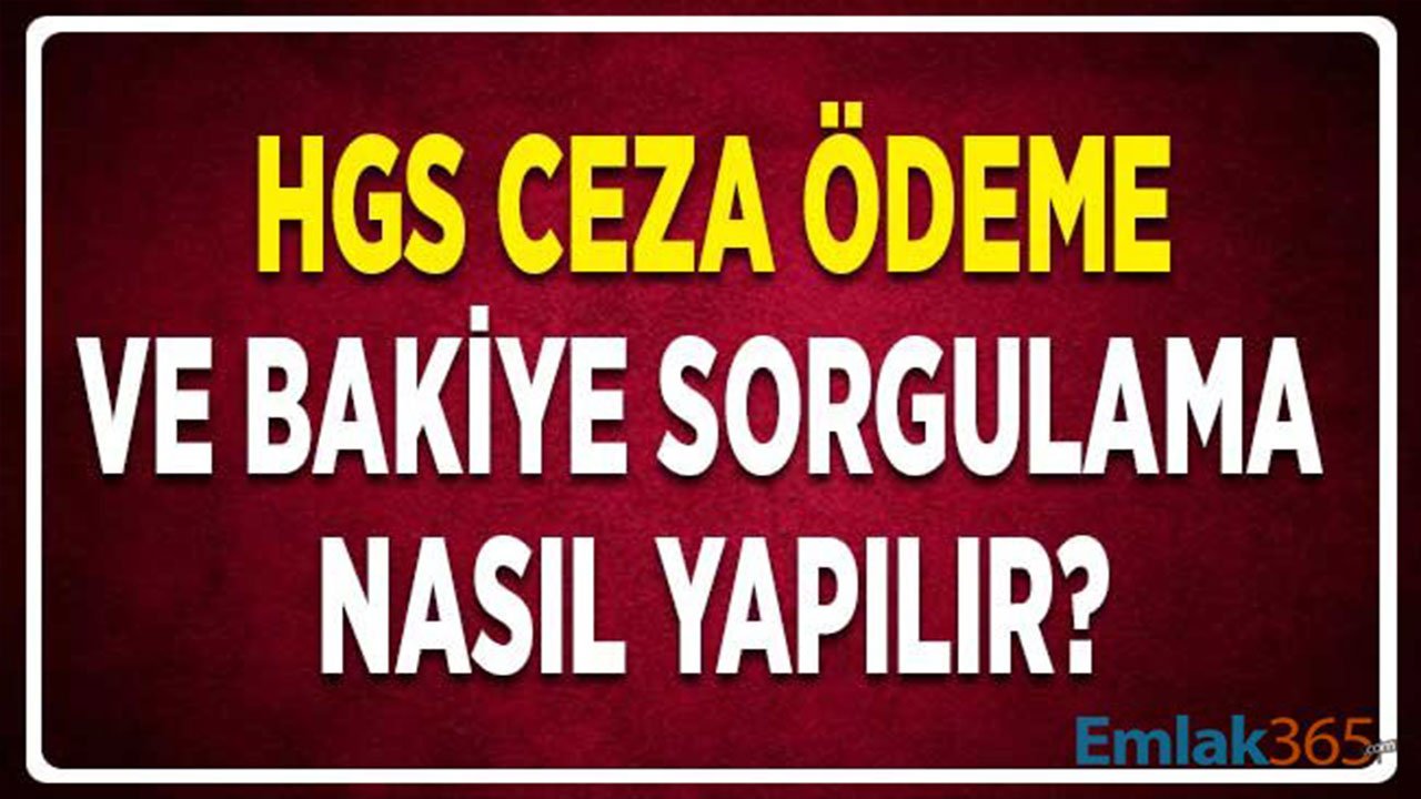 İnternet Üzerinden HGS Ceza Ödeme ve Online Bakiye Sorgulama 2022 Nasıl Yapılır?