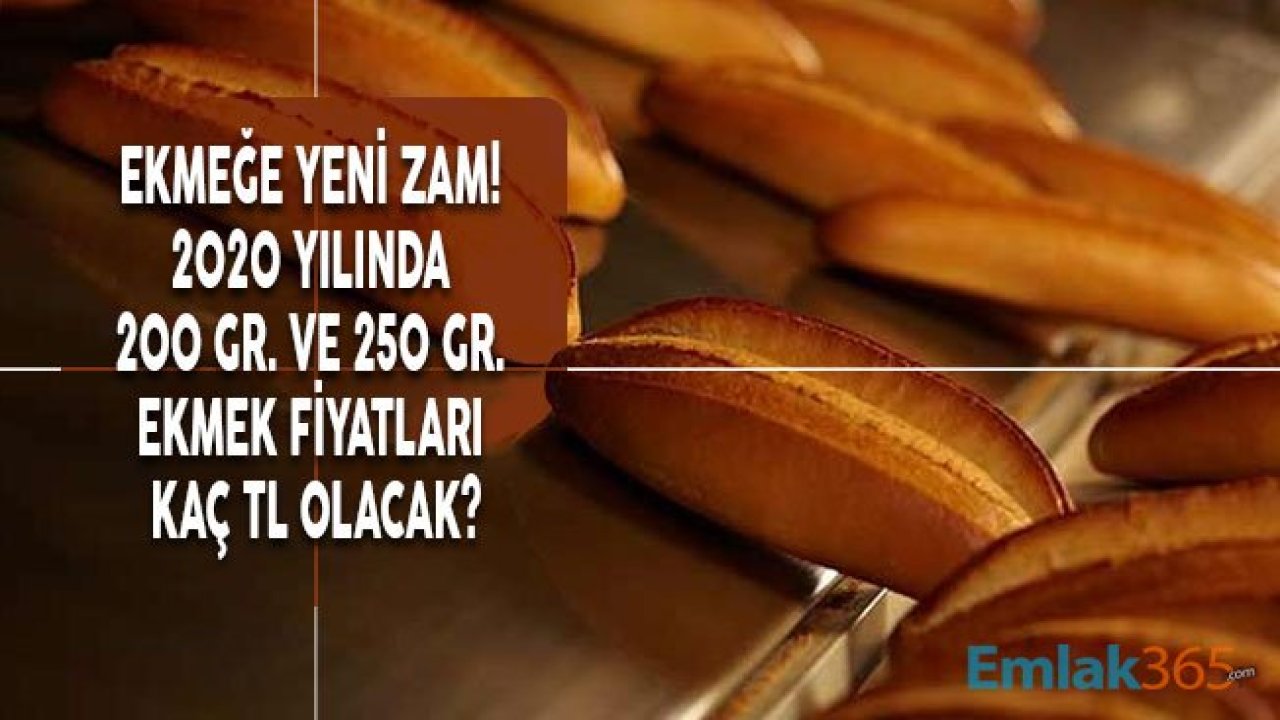 Ekmek Fiyatlarına Yeniden Zam Gelecek Mi? Ekmeğe Zam İle 2020 'de Kaç TL Olacak?