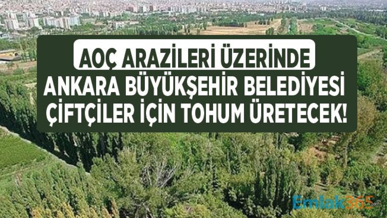 Mansur Yavaş Müjdeyi Verdi: AOÇ Arazileri Üzerinde Ankara BB Tohum Üretecek!