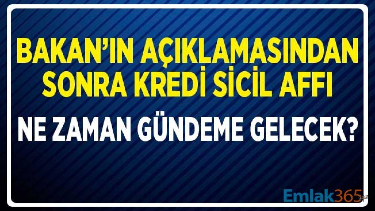 Bakan Açıklamasının Ardından Kredi Sicil Affı Ne Zaman Çıkacak?