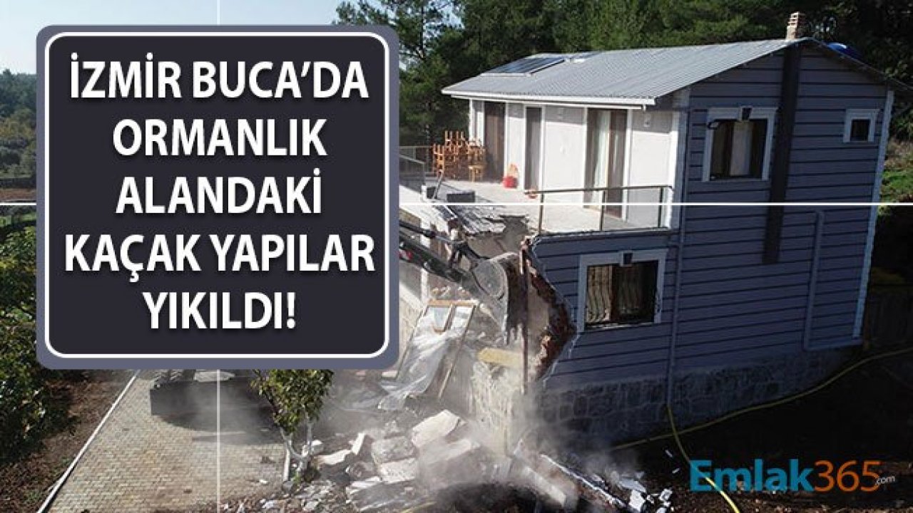 İzmir'de Kaçak Yapı Avı! Hazine Arazisi Üzerine Yapılan Kaçak Villalar Yıkıldı