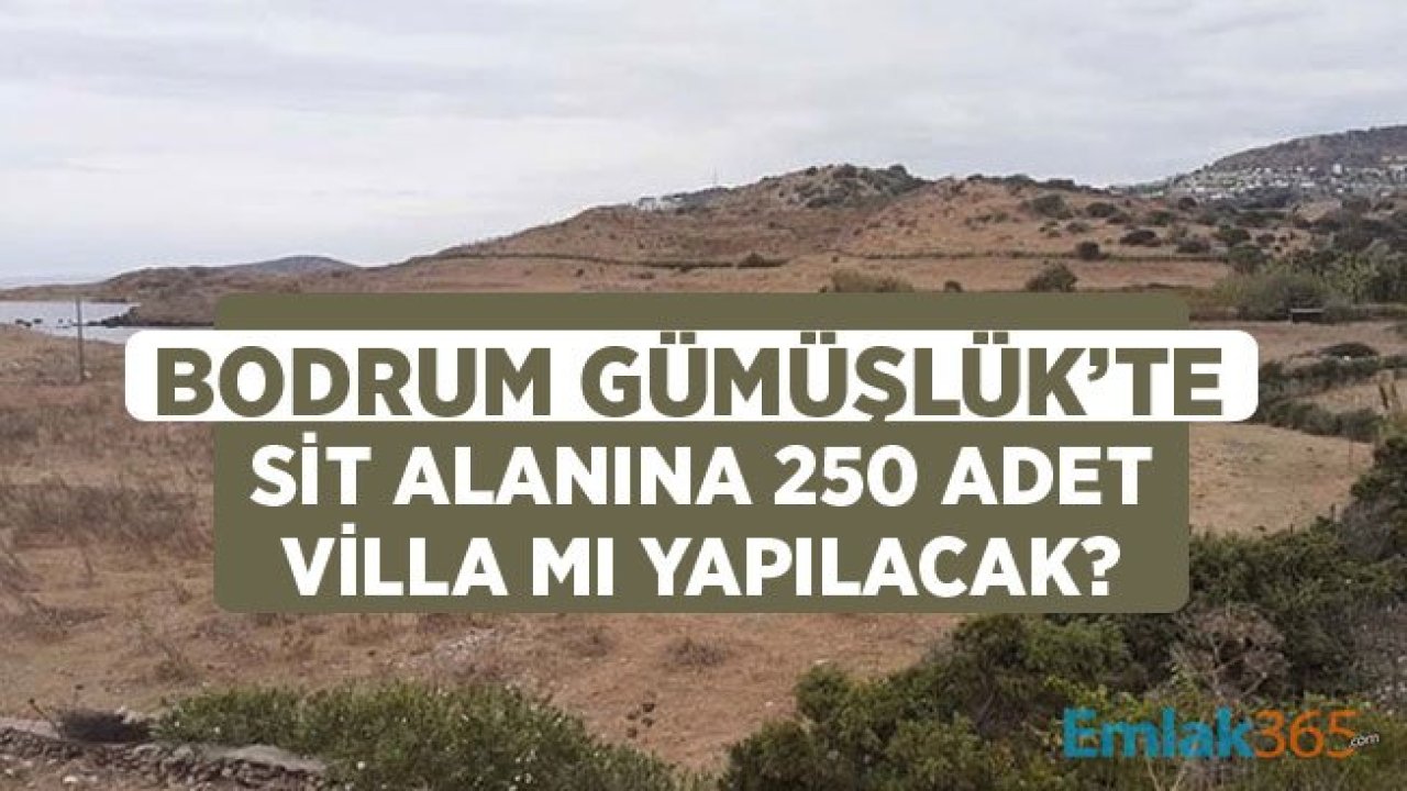 Bodrum Gümüşlük'te SİT Alanı İmara Açılacak, 250 Villa Projesi Yapılacak İddiaları Tepki Çekti!