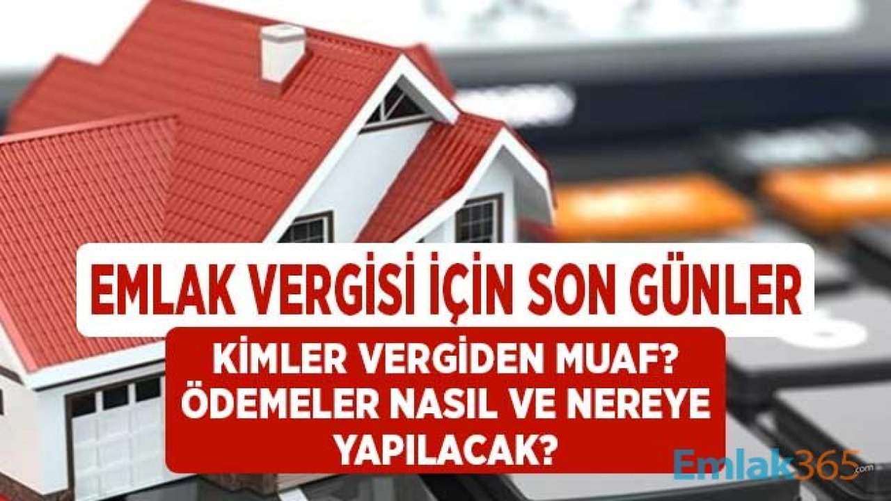 Emlak Vergi 2. Taksit Ödemeleri için Son Gün 30 Kasım! Ödemeler Nereye Nasıl Yapılacak? Kimler Muaf?