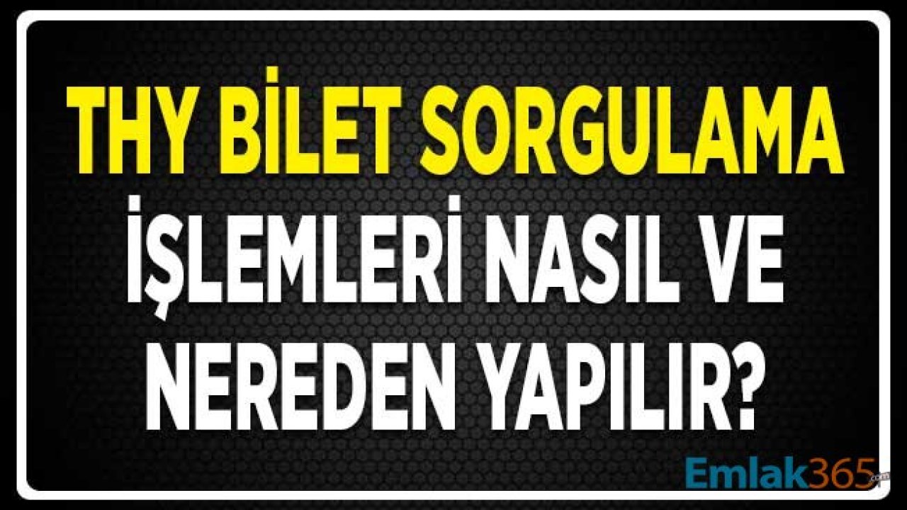 THY Bilet Sorgulama İşlemleri Nasıl Yapılır ve Nereden Öğrenilir?